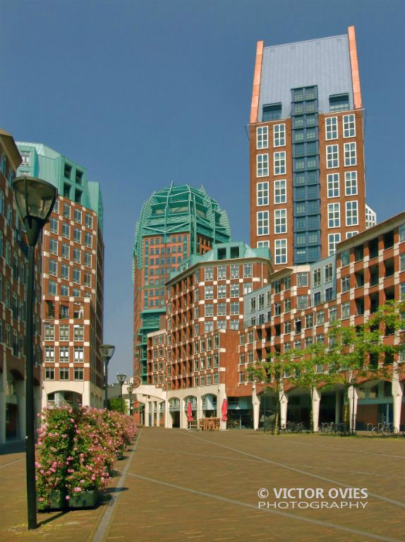 Den Haag